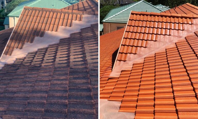 Roof Soft Washing Gable Before and After